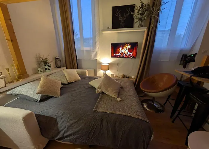 Appartement Palais Des Arts *