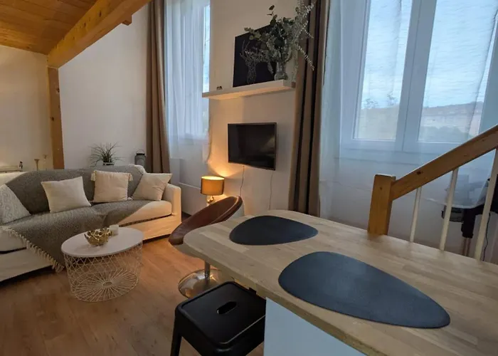 Appartement Palais Des Arts