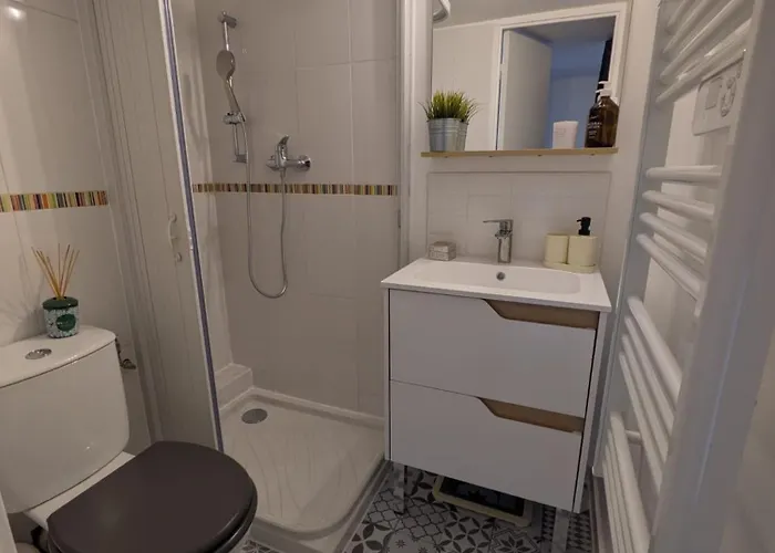 Appartement Palais Des Arts *