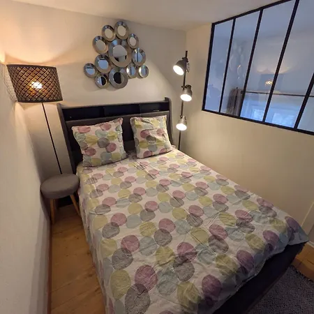 Apartment Palais Des Arts