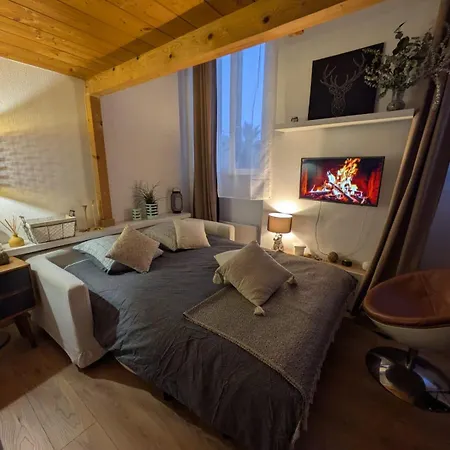 Apartment Palais Des Arts