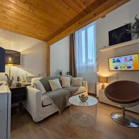 Apartment Palais Des Arts *