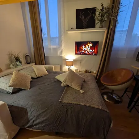 Palais Des Arts Apartment Nizza