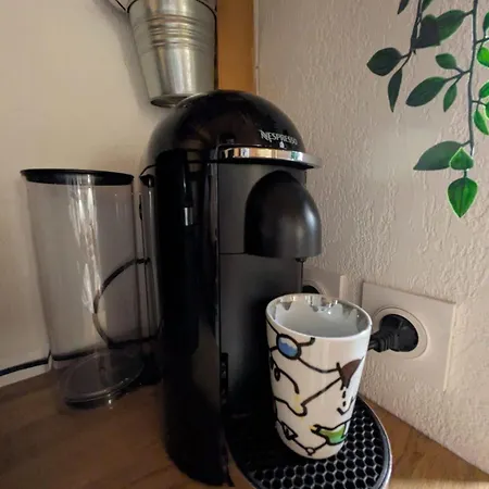 Palais Des Arts * Nizza