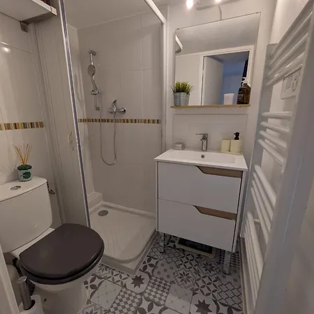 Apartment Palais Des Arts *